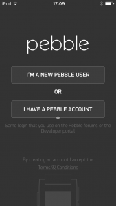 Pebble