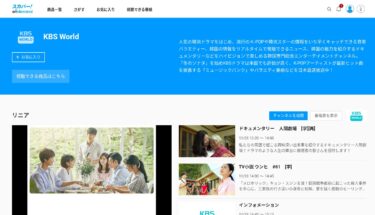 KBS World スカパー！オンデマンド Chromebook Android