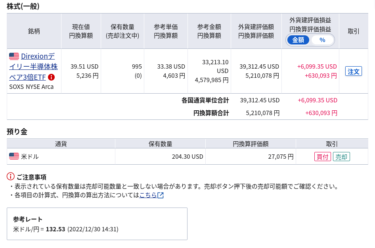 2022年の投資チャレンジ総決算